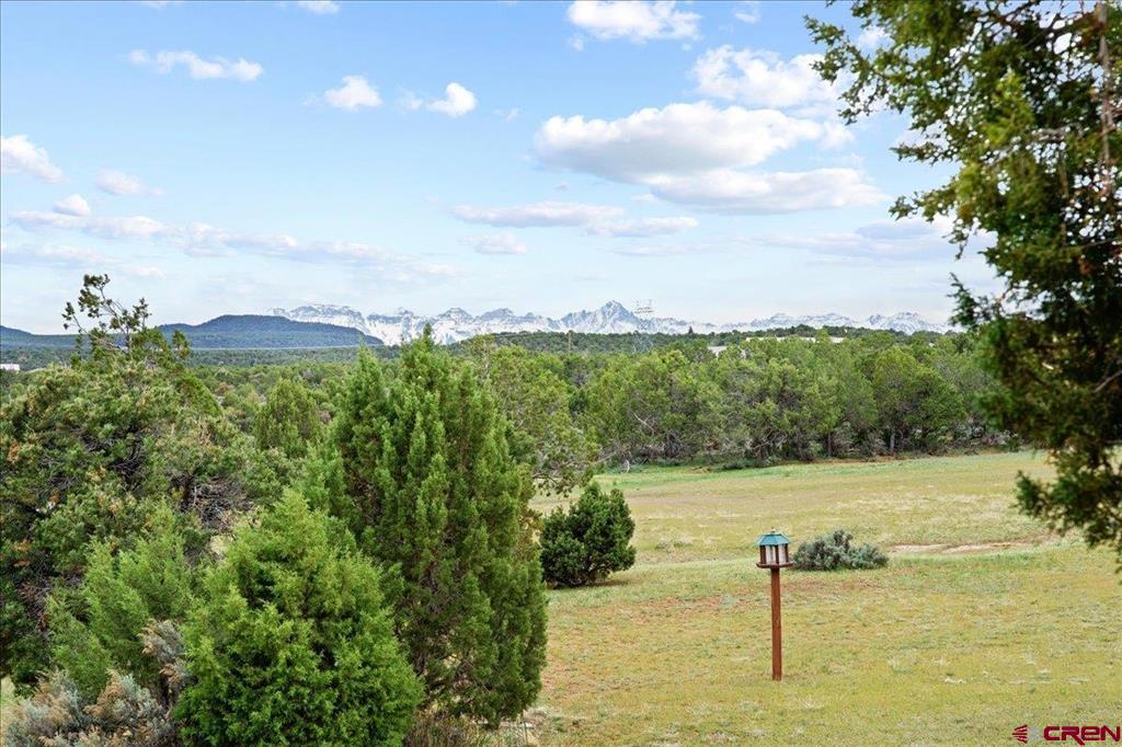 281 Stormy Trail Montrose CO 81403