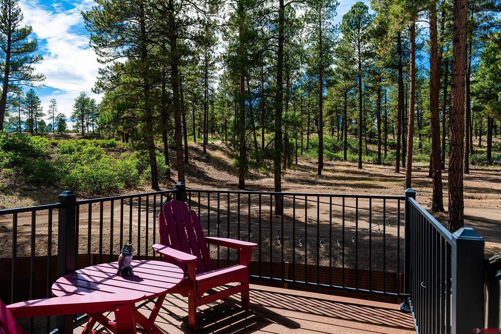 540 Bald Eagle Road Bayfield CO 81122