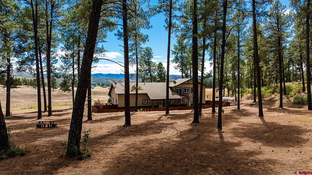 540 Bald Eagle Road Bayfield CO 81122