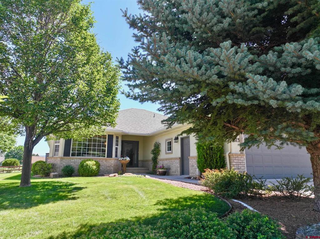 3813 Mount Hayden Drive Montrose CO 81403