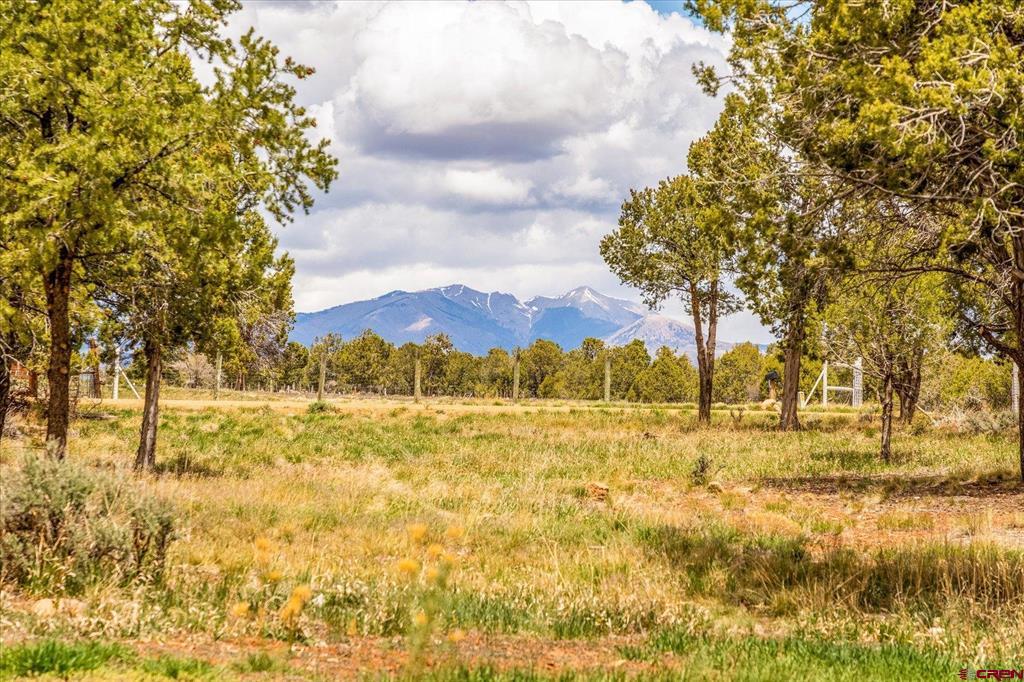 180 County Road 122a Hesperus CO 81326
