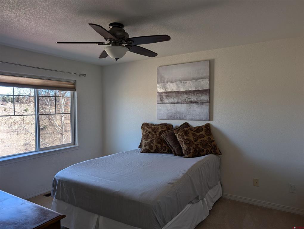 20 Timberline Drive Pagosa Springs CO 81147