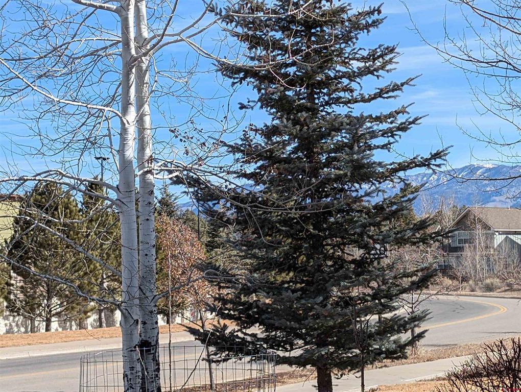 20 Timberline Drive Pagosa Springs CO 81147