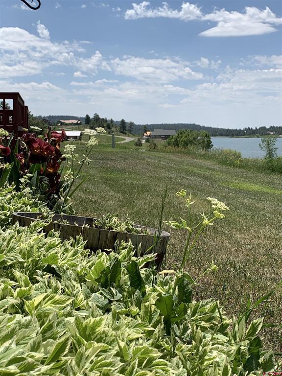 5584 County Road 600 Pagosa Springs CO 81147