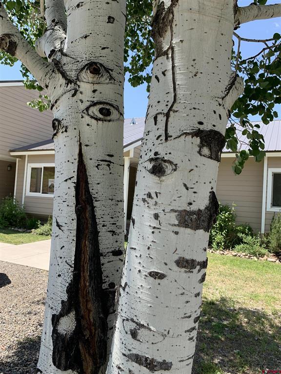 5584 County Road 600 Pagosa Springs CO 81147