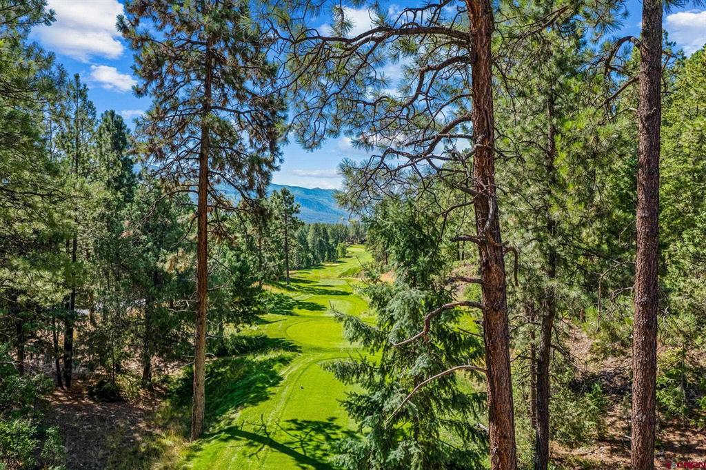 103 Glacier Cliff Drive Durango CO 81301