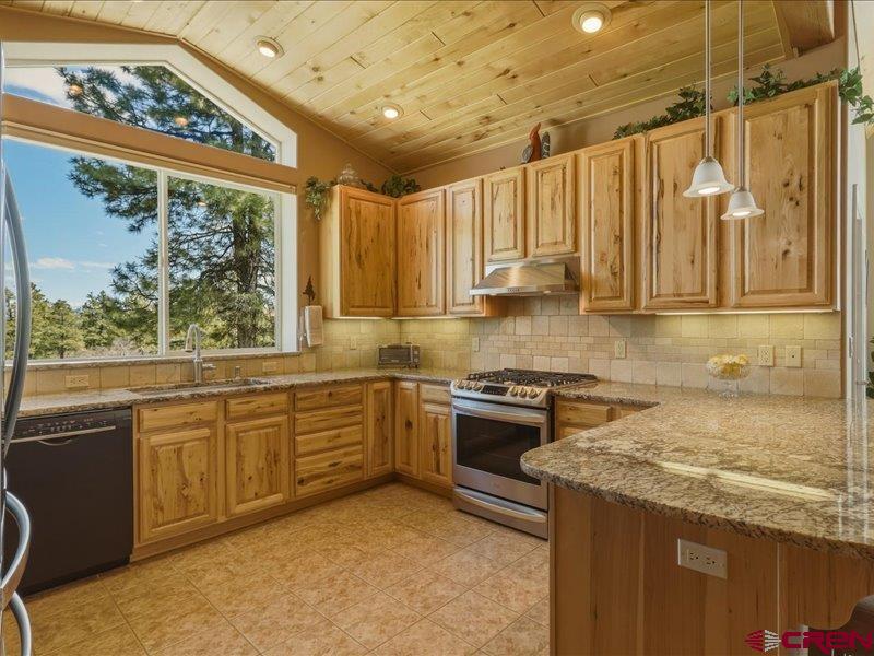 28 Vision Crest Court Pagosa Springs CO 81147