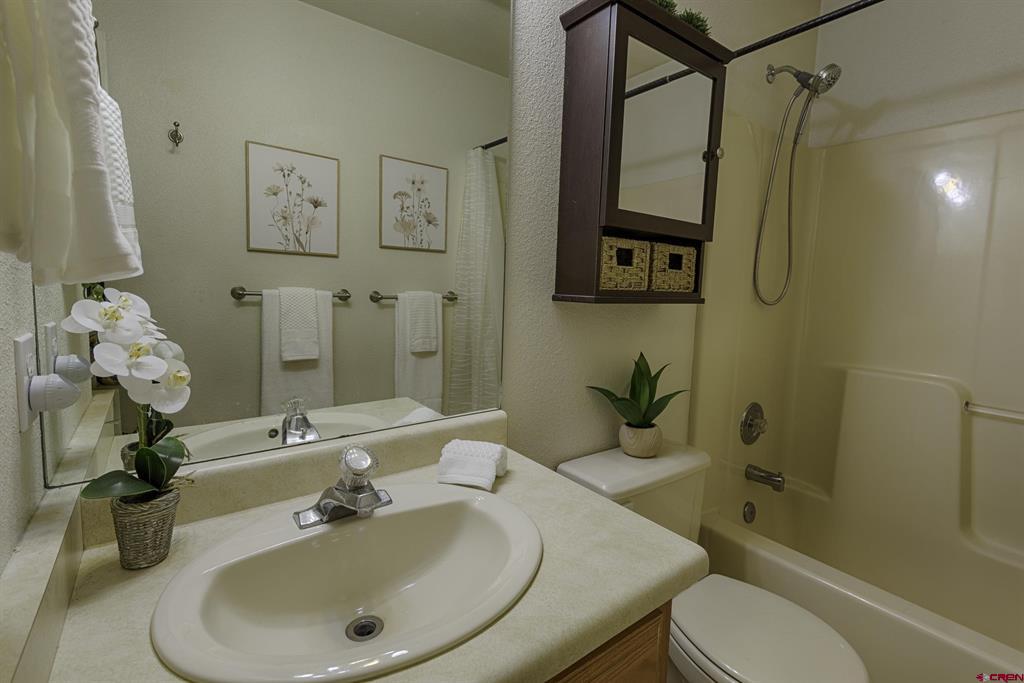 1686 Rheims Court Montrose CO 81401