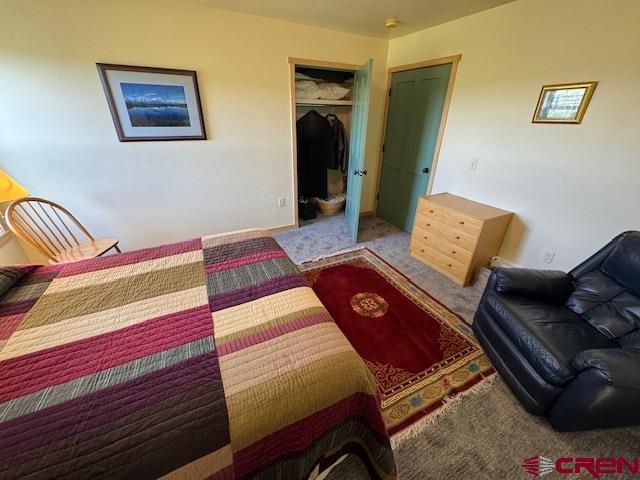 11737 Bostwick Park Road Montrose CO 81401