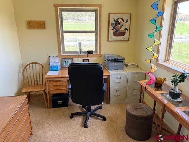 11737 Bostwick Park Road Montrose CO 81401