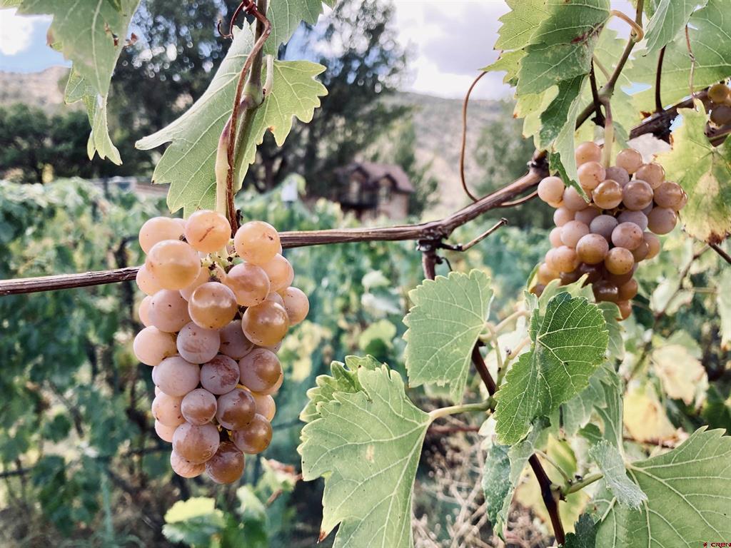 18261 Road G Cortez CO 81321