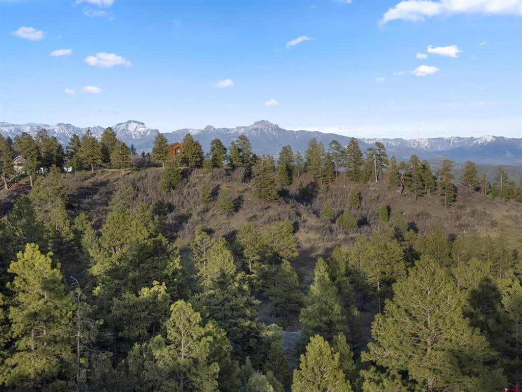1325 Cool Pines Drive Pagosa Springs CO 81147