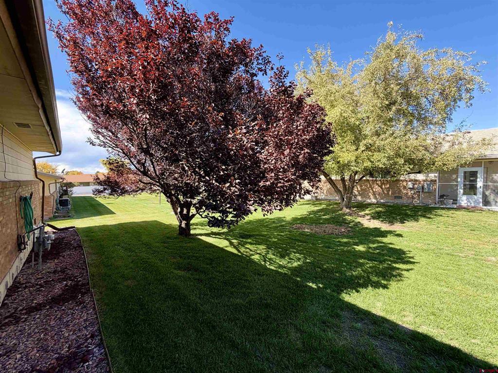 2123 Winston Way Montrose CO 81401
