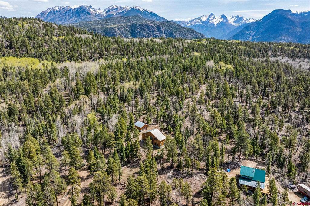50 Big Pine Trail Durango CO 81301