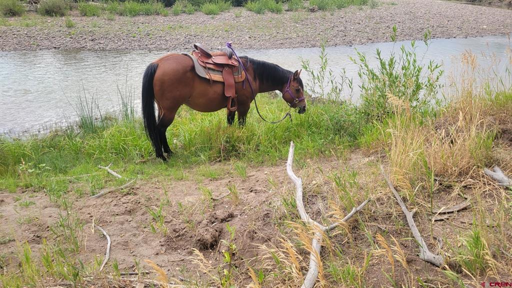 12753 13.5 Road Antonito CO 81120