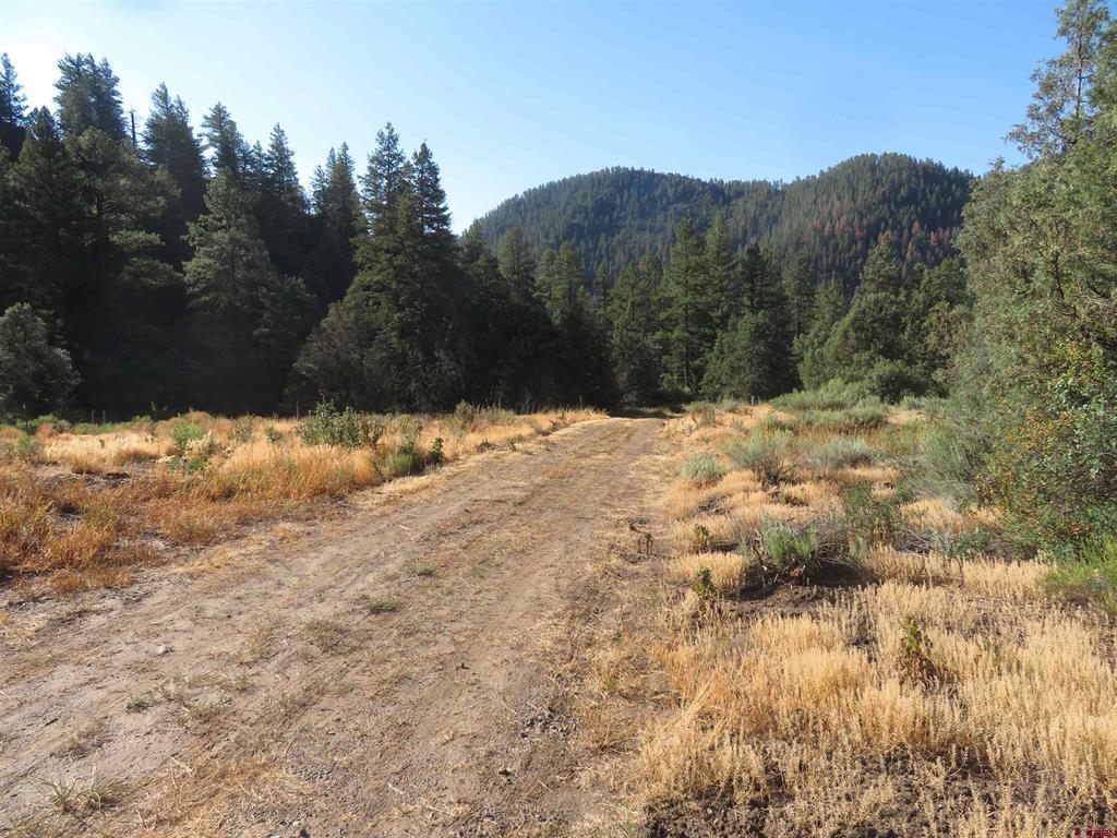 245 Mountain Road Pagosa Springs CO 81147