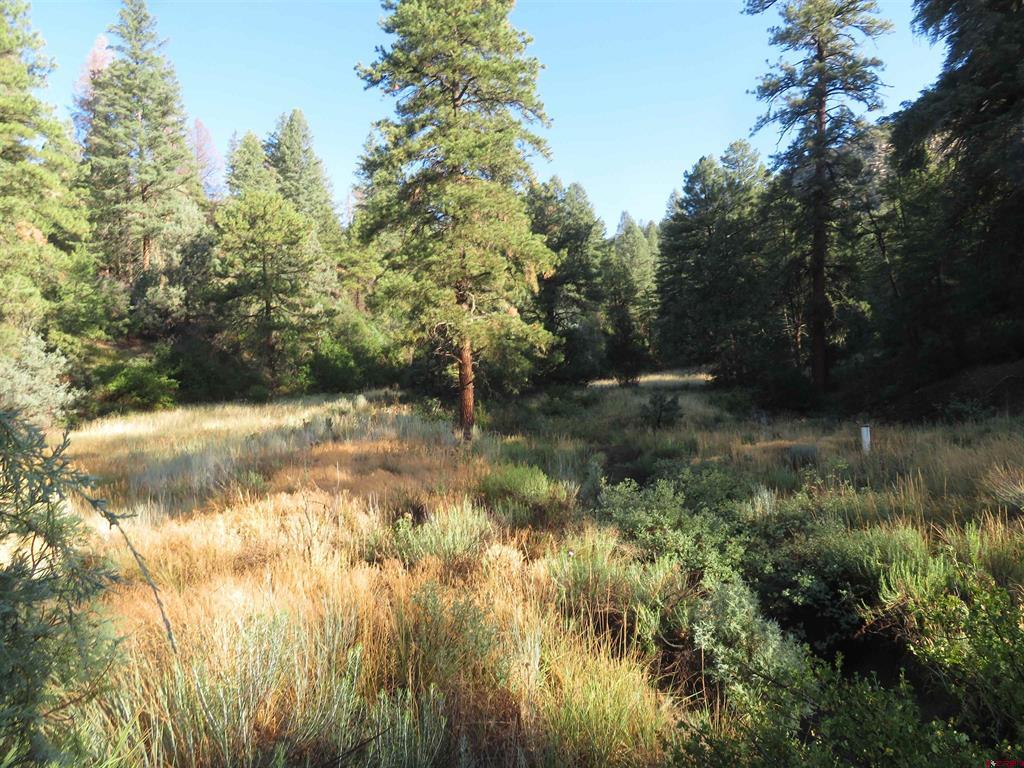245 Mountain Road Pagosa Springs CO 81147