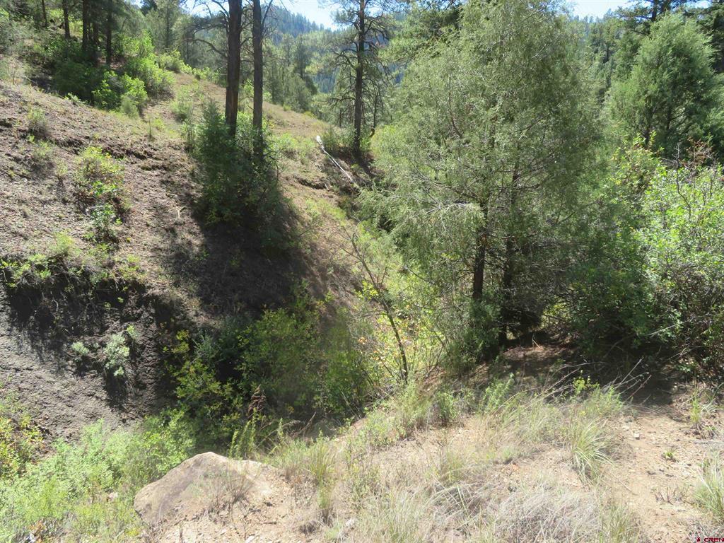 245 Mountain Road Pagosa Springs CO 81147