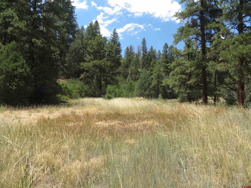 245 Mountain Road Pagosa Springs CO 81147