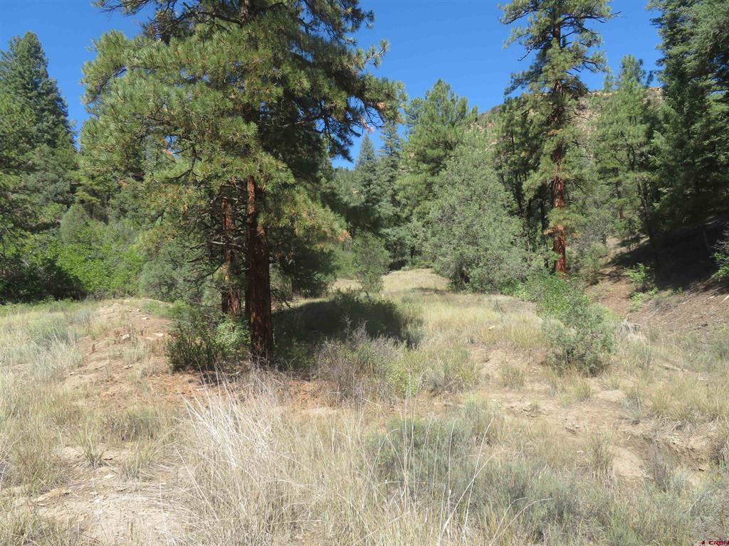 245 Mountain Road Pagosa Springs CO 81147