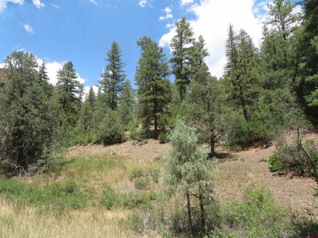 245 Mountain Road Pagosa Springs CO 81147