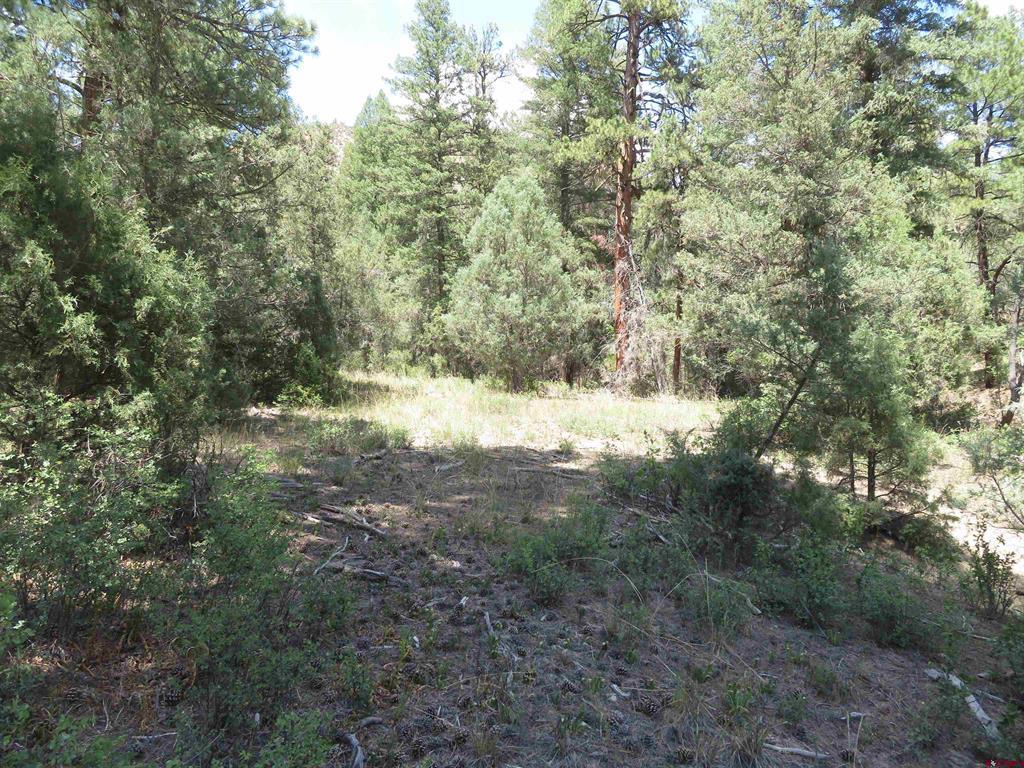245 Mountain Road Pagosa Springs CO 81147