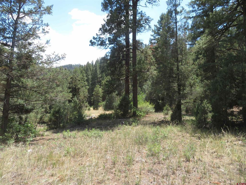 245 Mountain Road Pagosa Springs CO 81147