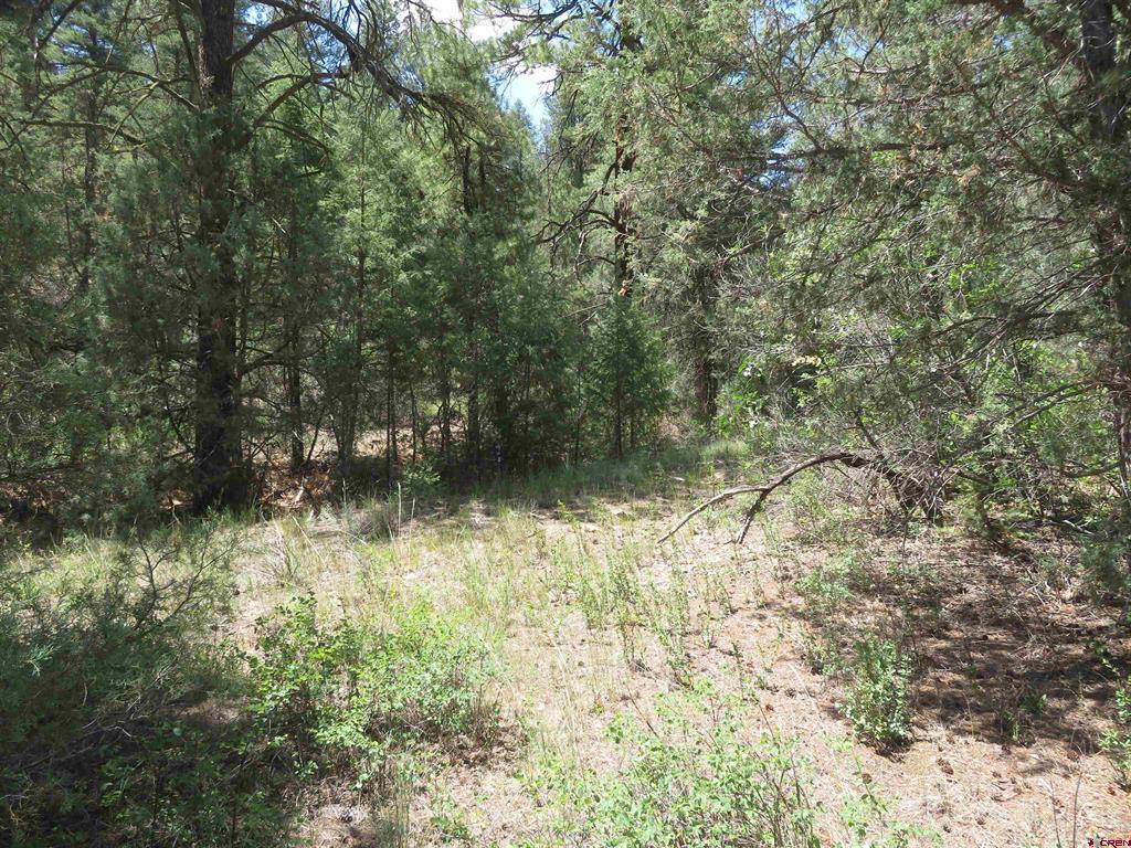 245 Mountain Road Pagosa Springs CO 81147