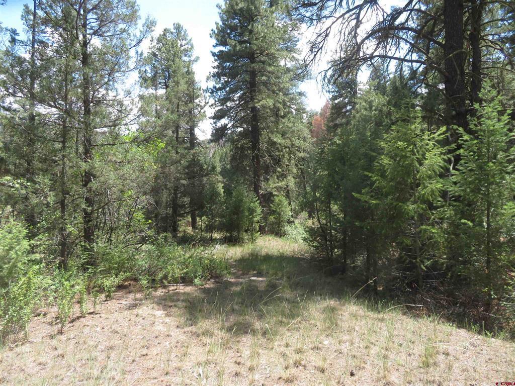 245 Mountain Road Pagosa Springs CO 81147