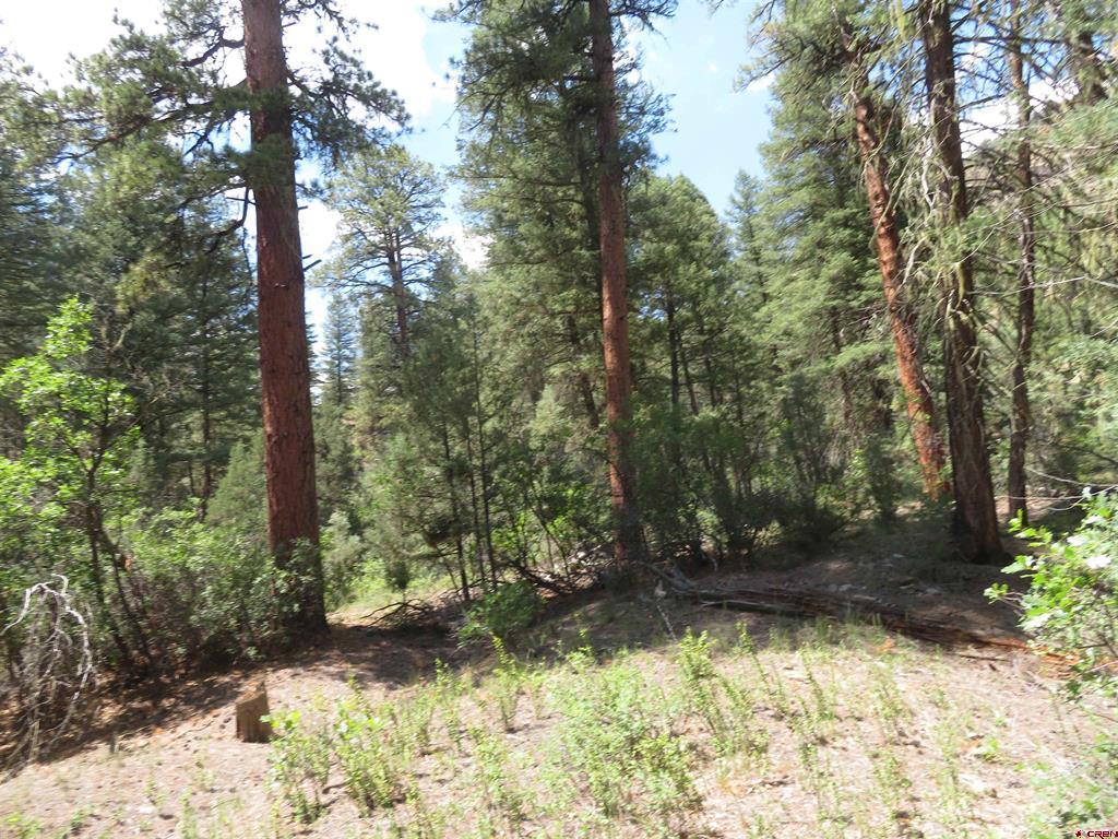 245 Mountain Road Pagosa Springs CO 81147