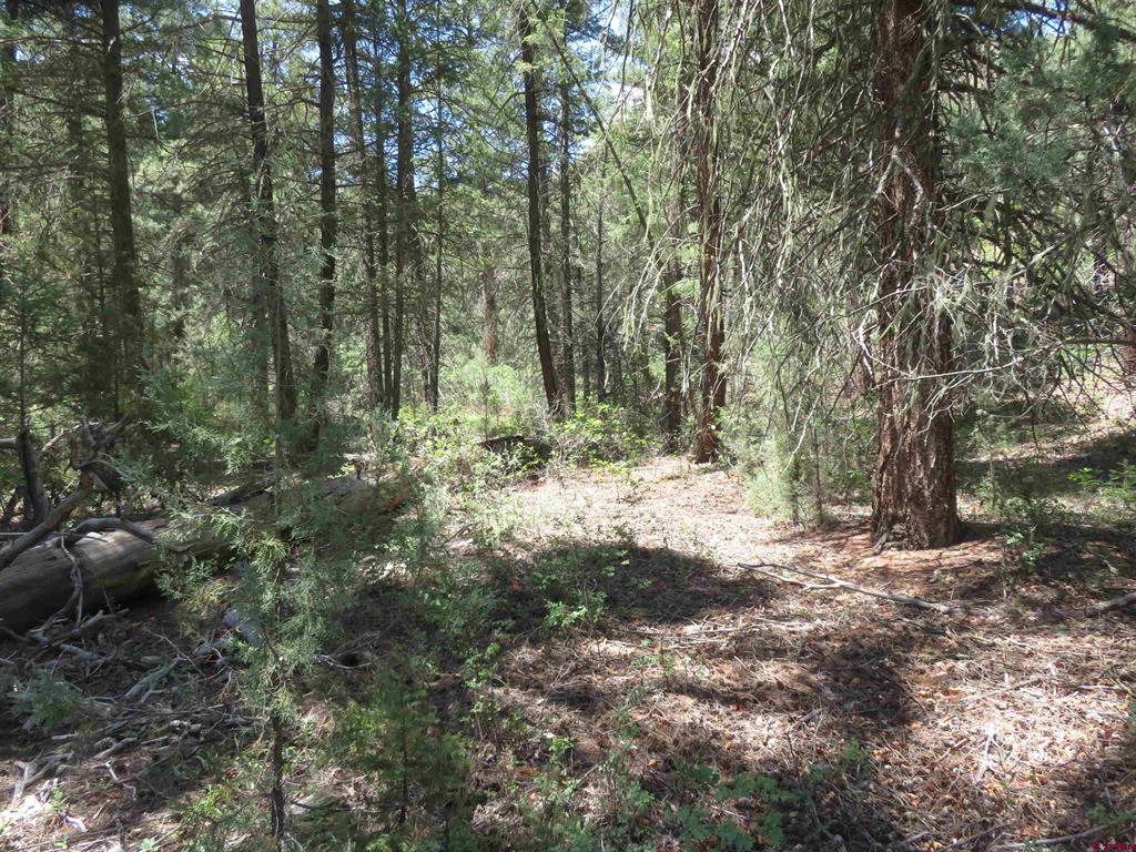 245 Mountain Road Pagosa Springs CO 81147