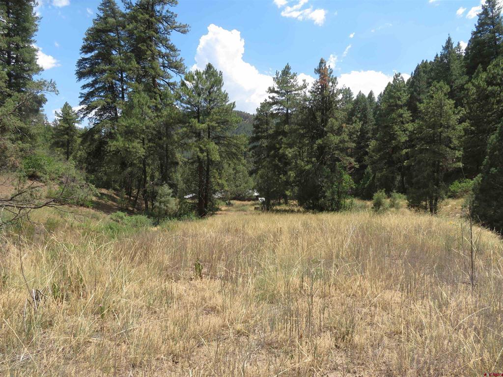 245 Mountain Road Pagosa Springs CO 81147
