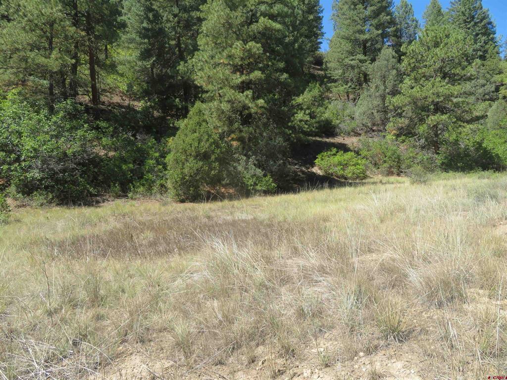 245 Mountain Road Pagosa Springs CO 81147