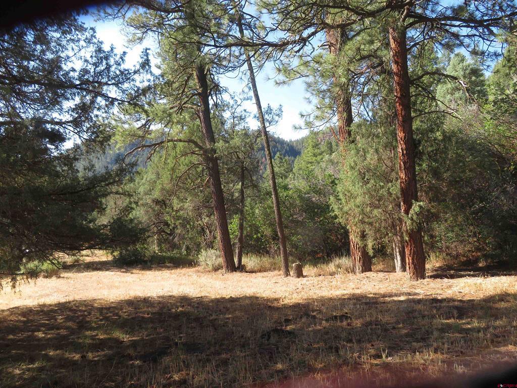 245 Mountain Road Pagosa Springs CO 81147