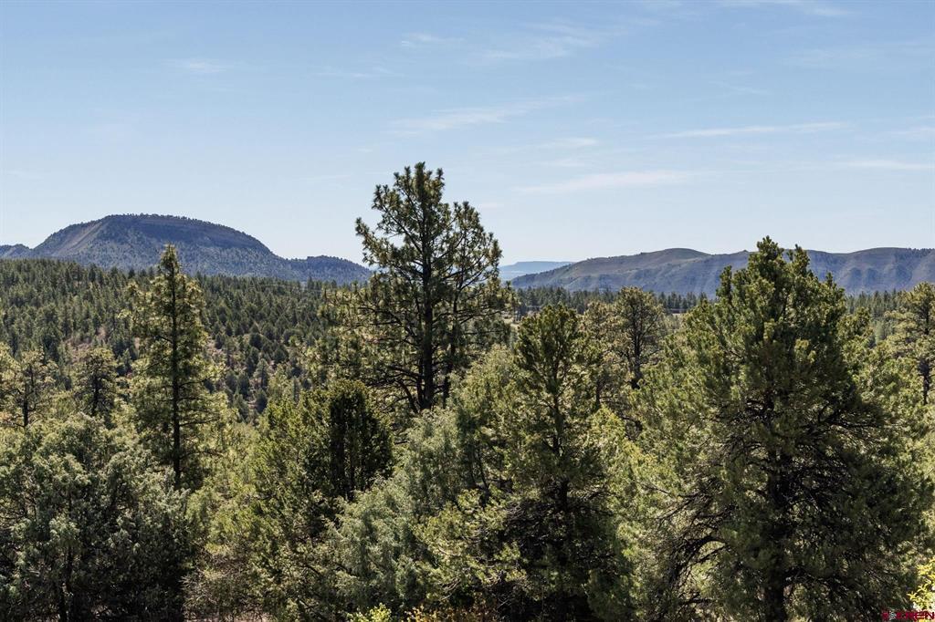 720 Sawmill Road Durango CO 81301