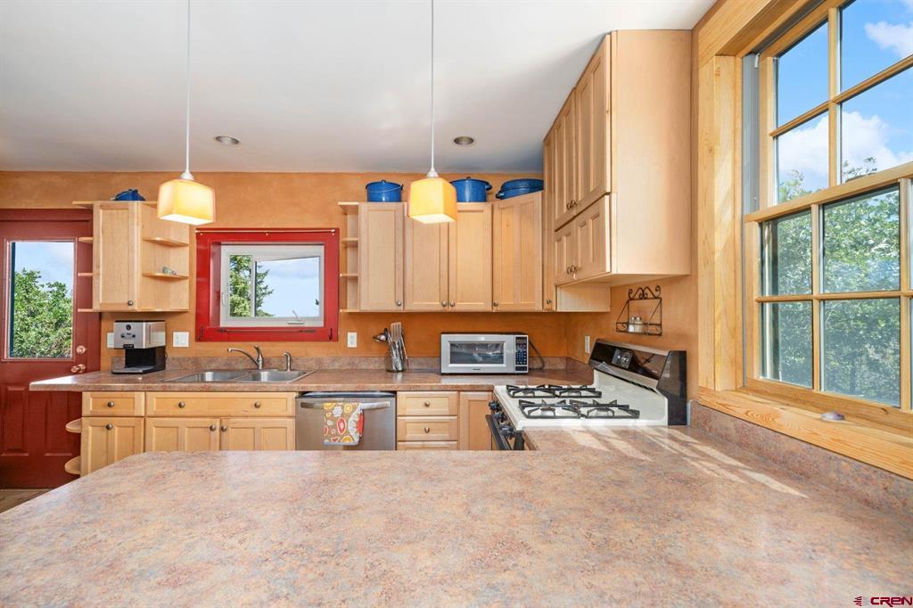 1100 Aspen Drive Ridgway CO 81432