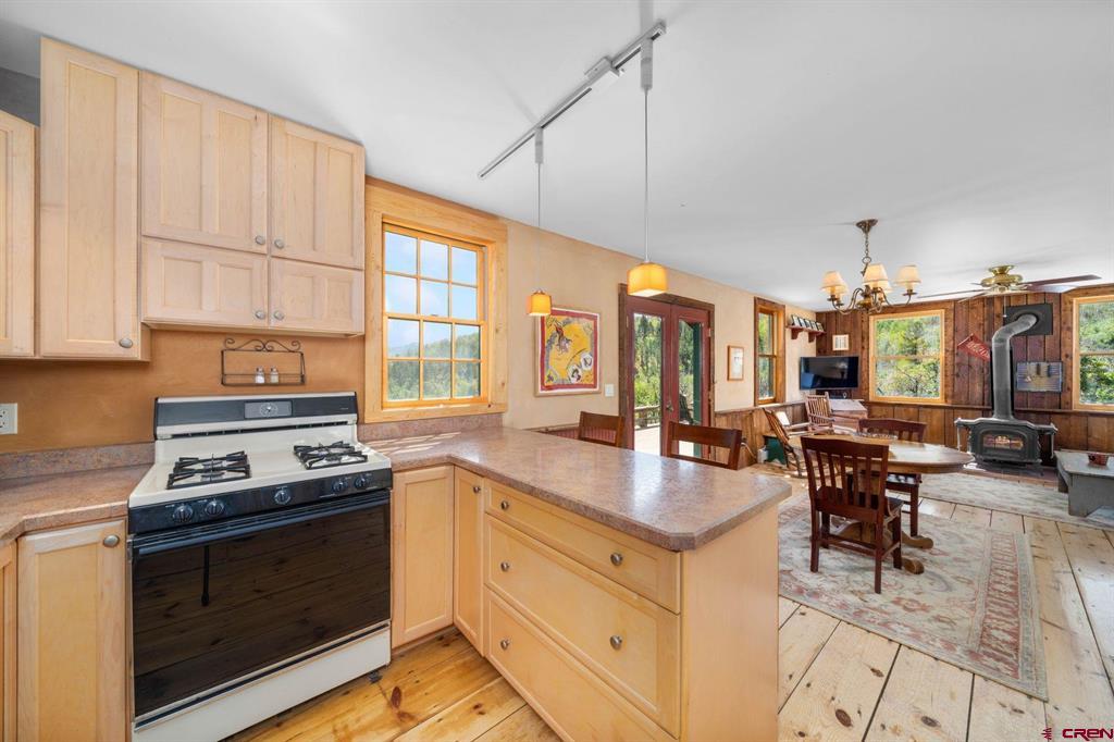 1100 Aspen Drive Ridgway CO 81432