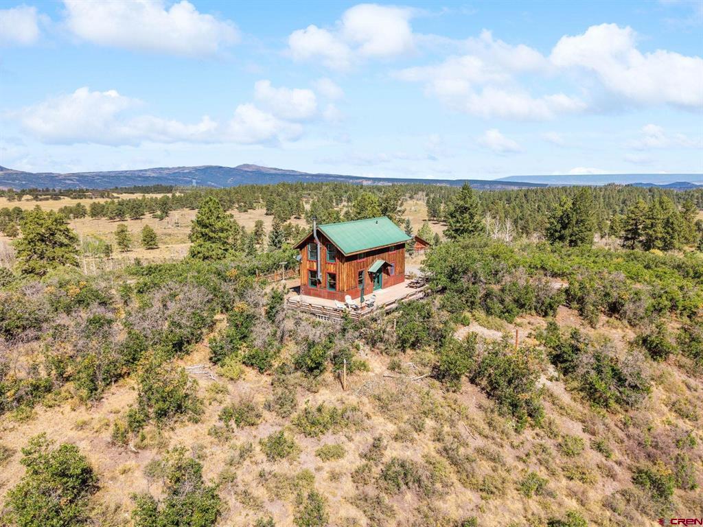 1100 Aspen Drive Ridgway CO 81432
