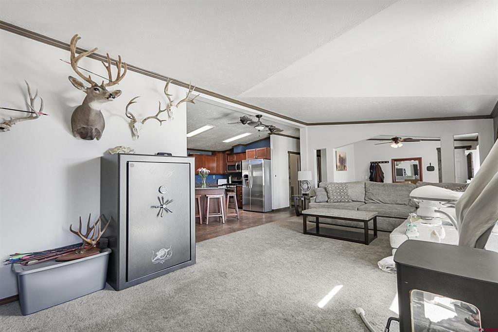 72 Terrace Drive Pagosa Springs CO 81147