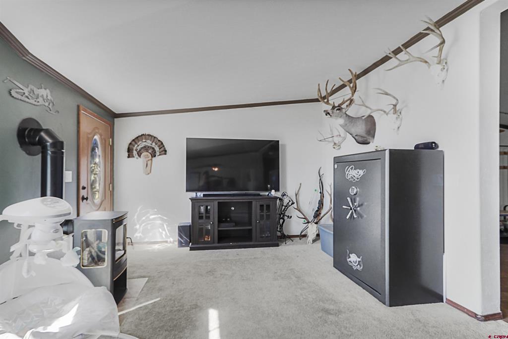 72 Terrace Drive Pagosa Springs CO 81147