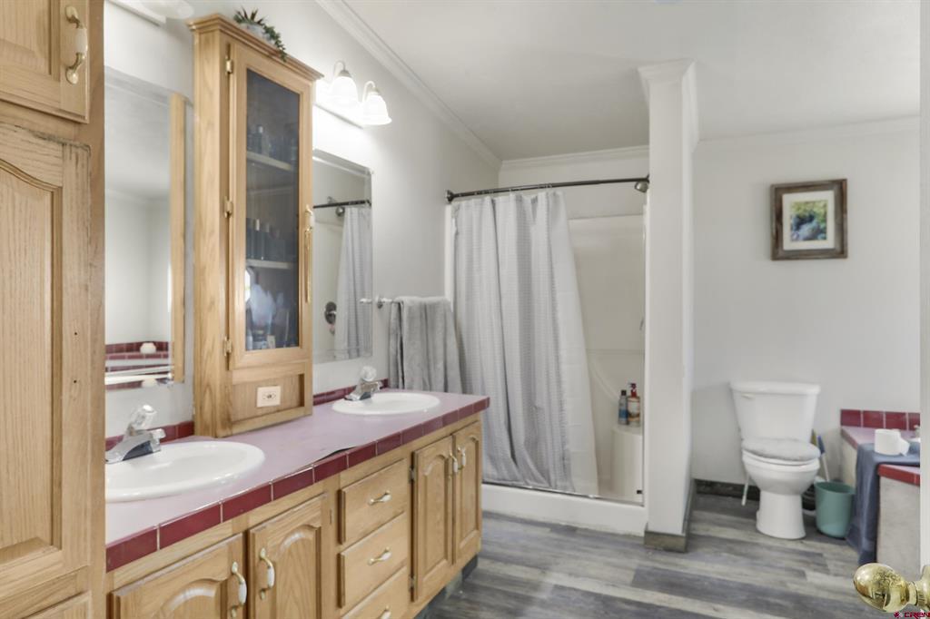 72 Terrace Drive Pagosa Springs CO 81147