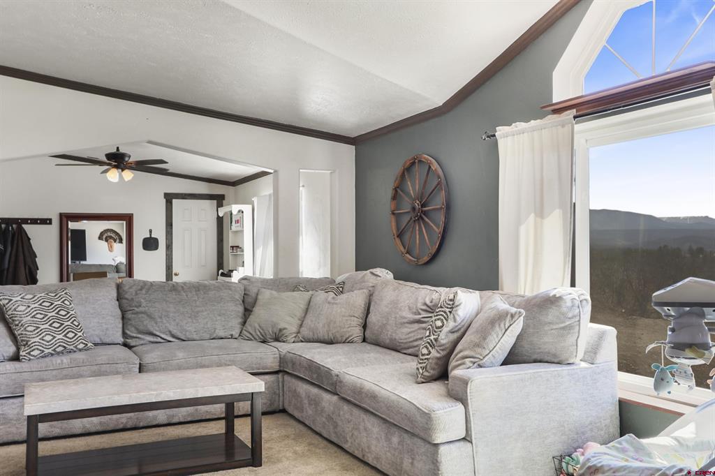 72 Terrace Drive Pagosa Springs CO 81147