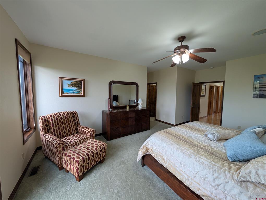 434 Cobble Creek Drive Montrose CO 81403