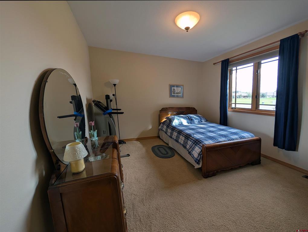 434 Cobble Creek Drive Montrose CO 81403