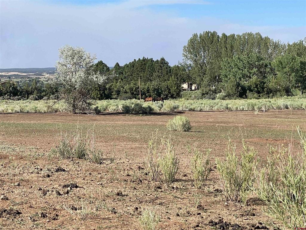 20432 Road U Cortez CO 81321