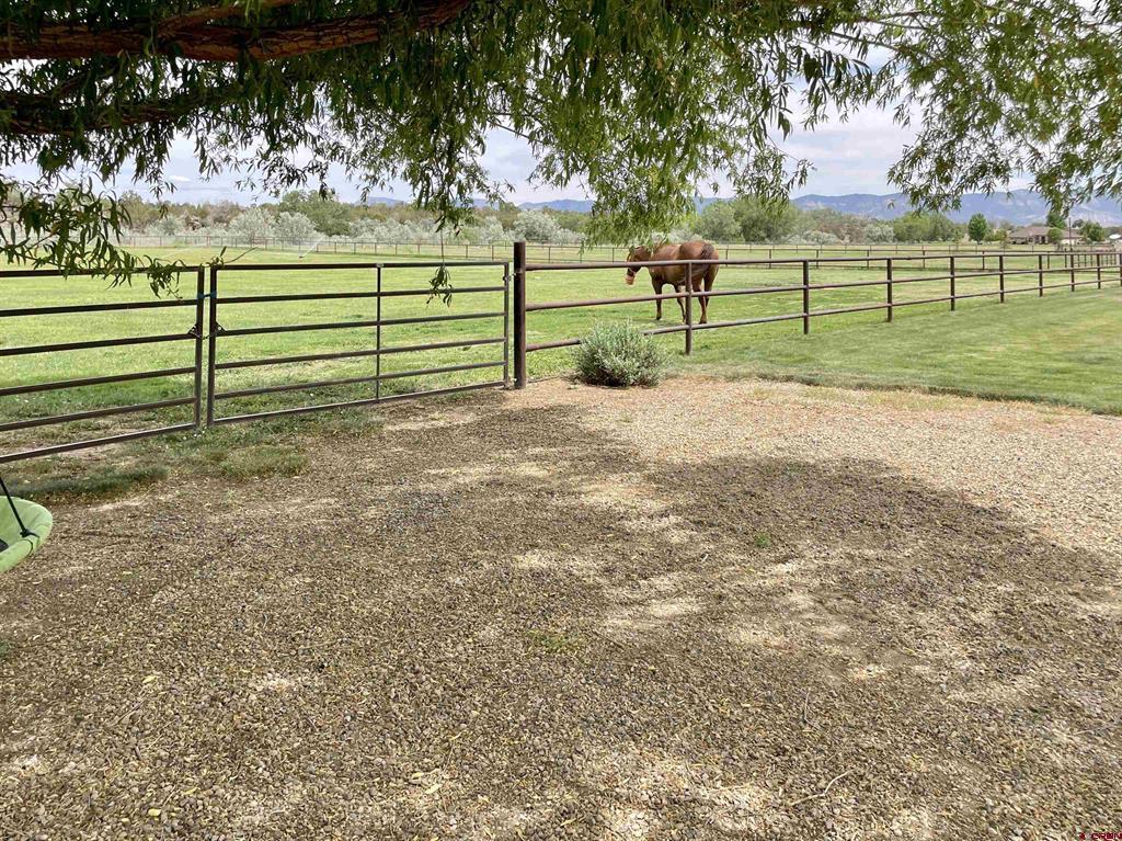 13914 Road 25.1 Cortez CO 81321