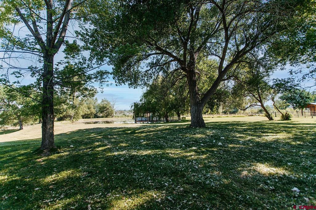 60428 Oasis Road Montrose CO 81403