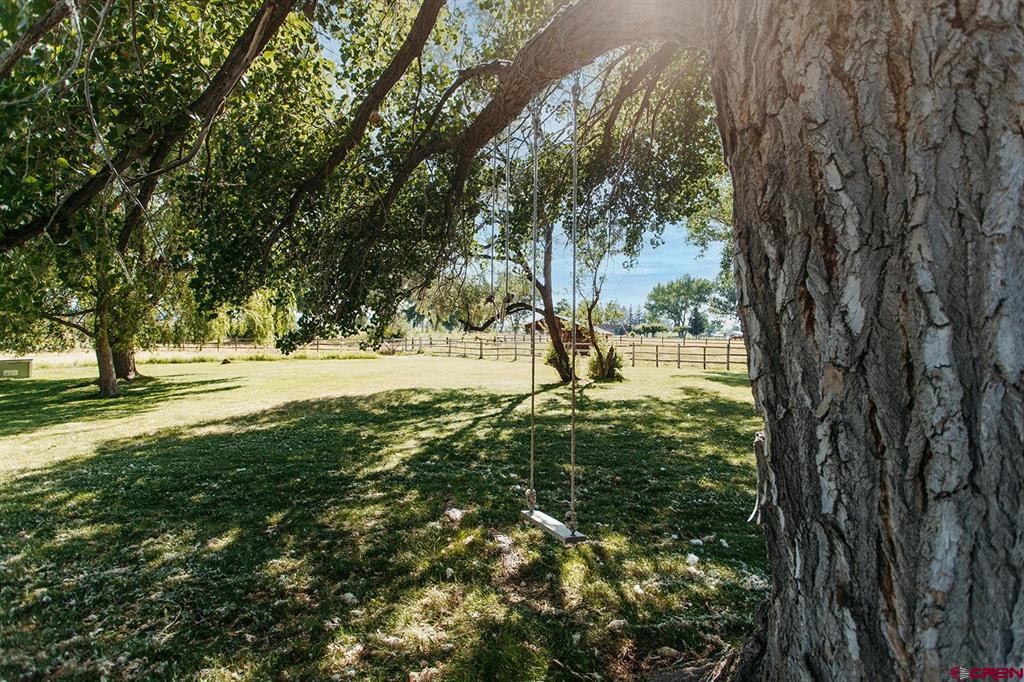 60428 Oasis Road Montrose CO 81403