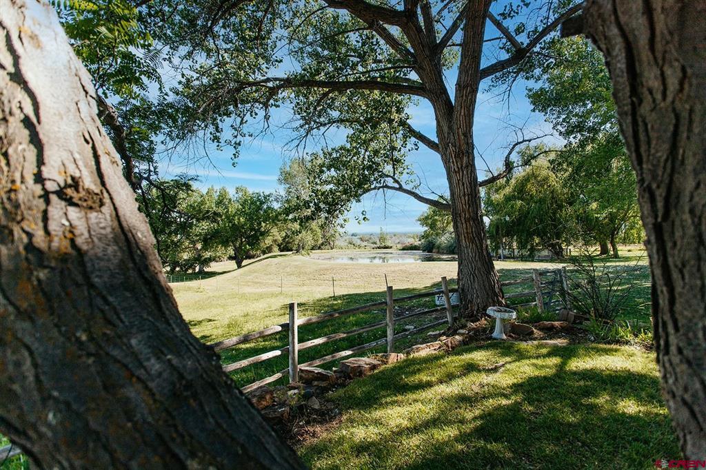 60428 Oasis Road Montrose CO 81403