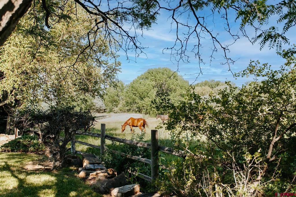 60428 Oasis Road Montrose CO 81403